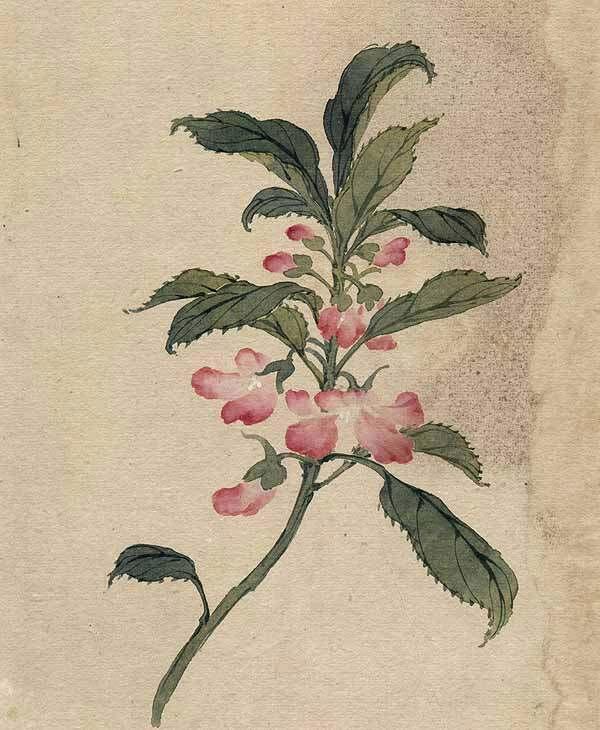 缪谷瑛《百花图》 历代国画 第42张