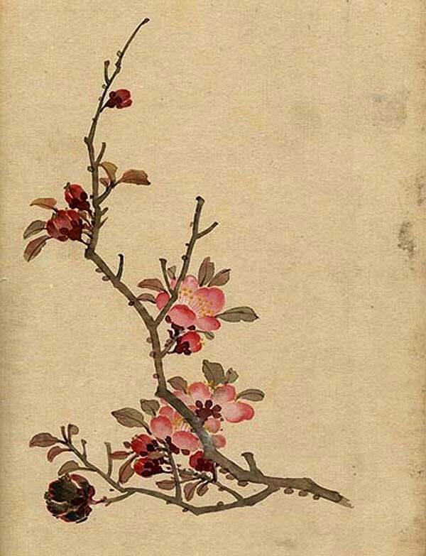 缪谷瑛《百花图》 历代国画 第27张