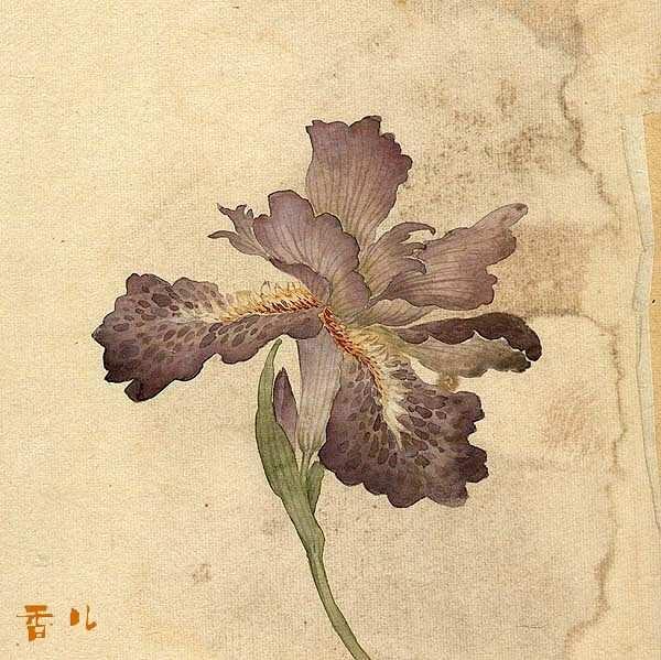 缪谷瑛《百花图》 历代国画 第7张