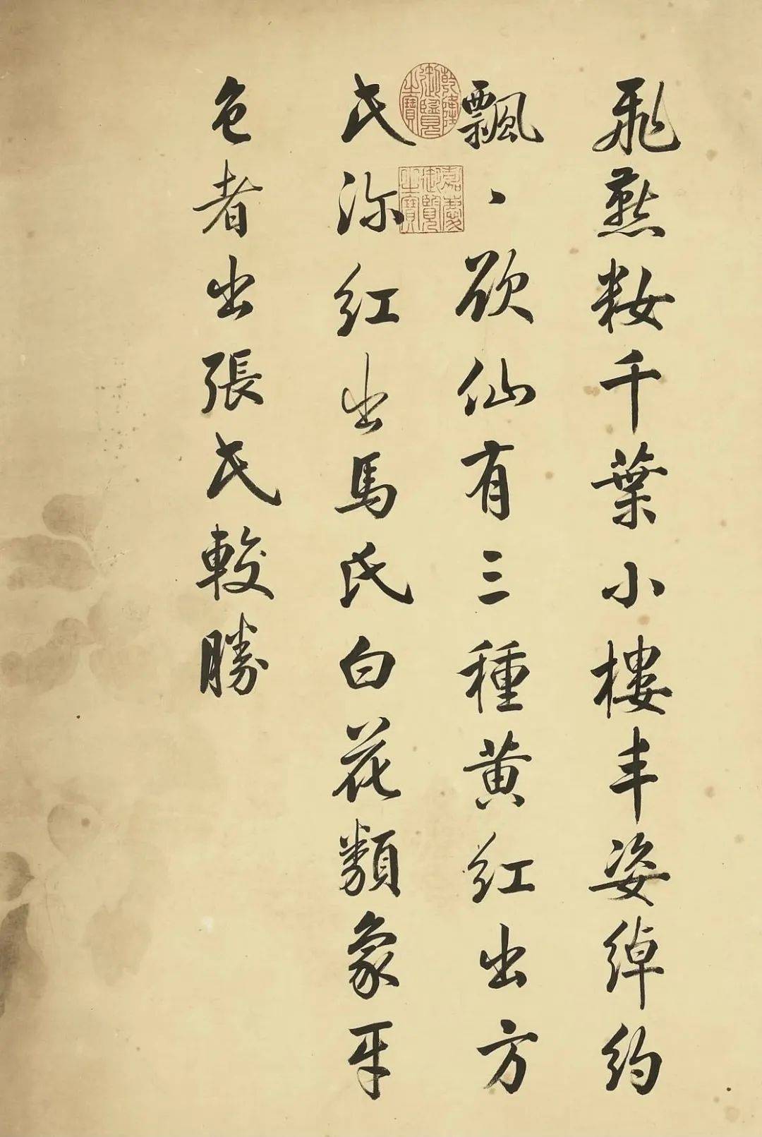 邹一桂《牡丹二十四品图》 历代国画 第56张