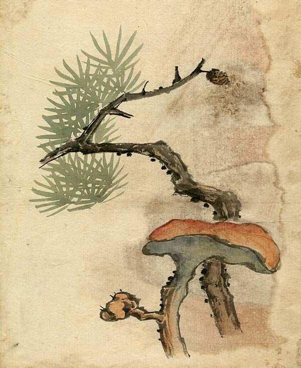 缪谷瑛《百花图》 历代国画 第18张