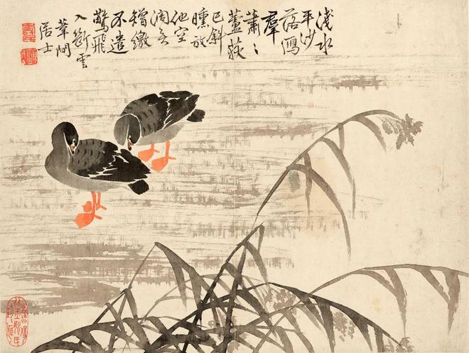 边寿民《芦雁图册》十开 历代国画 第11张