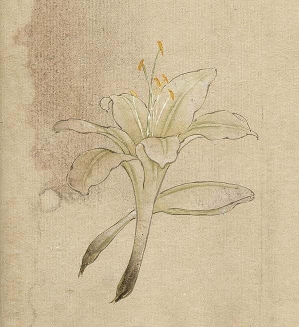 缪谷瑛《百花图》 历代国画 第33张