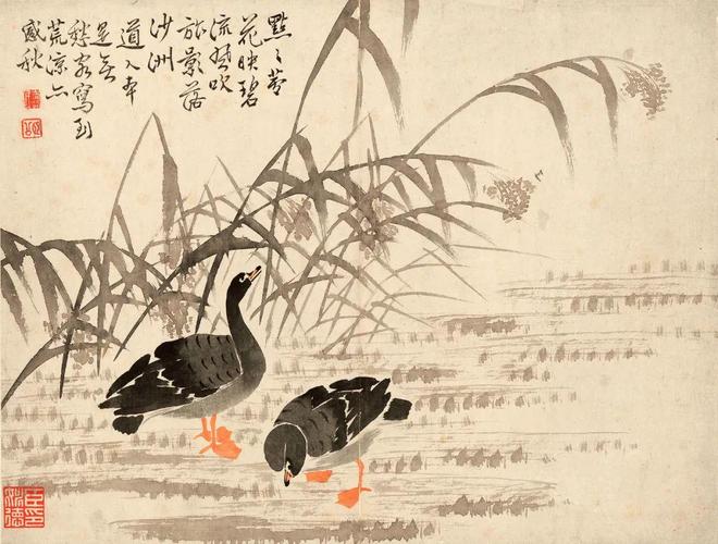 边寿民《芦雁图册》十开 历代国画 第13张