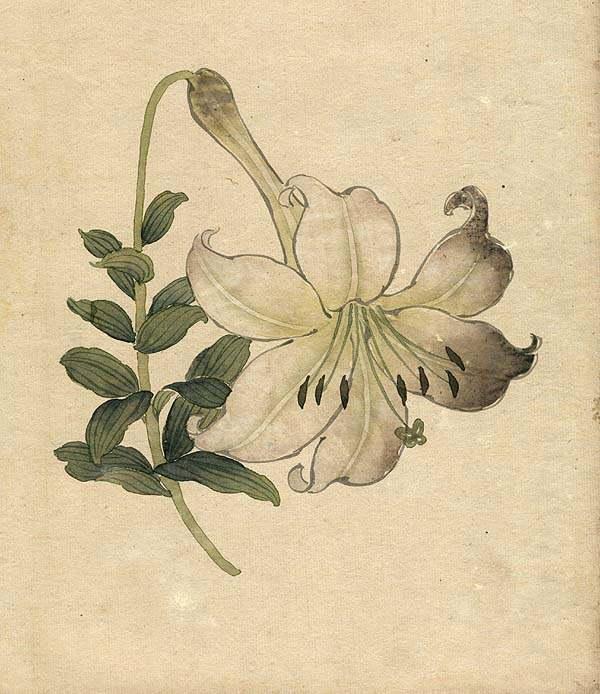 缪谷瑛《百花图》 历代国画 第13张