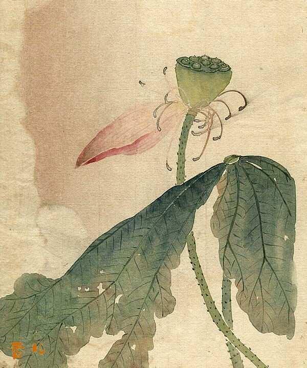 缪谷瑛《百花图》 历代国画 第6张