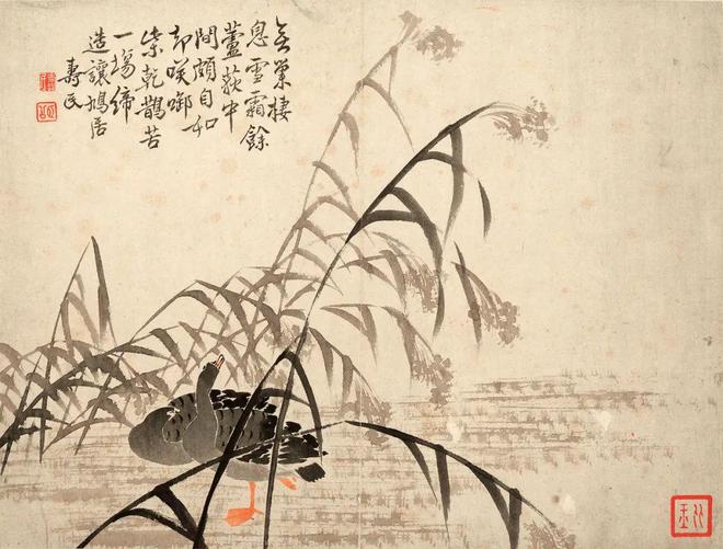 边寿民《芦雁图册》十开 历代国画 第12张