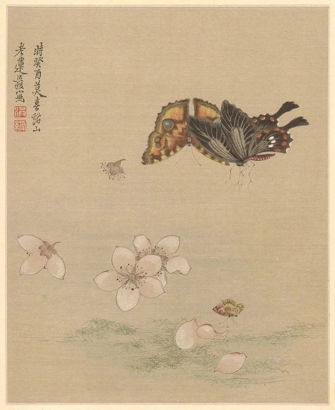 陈洪绶《花鸟草虫册》 历代国画 第4张