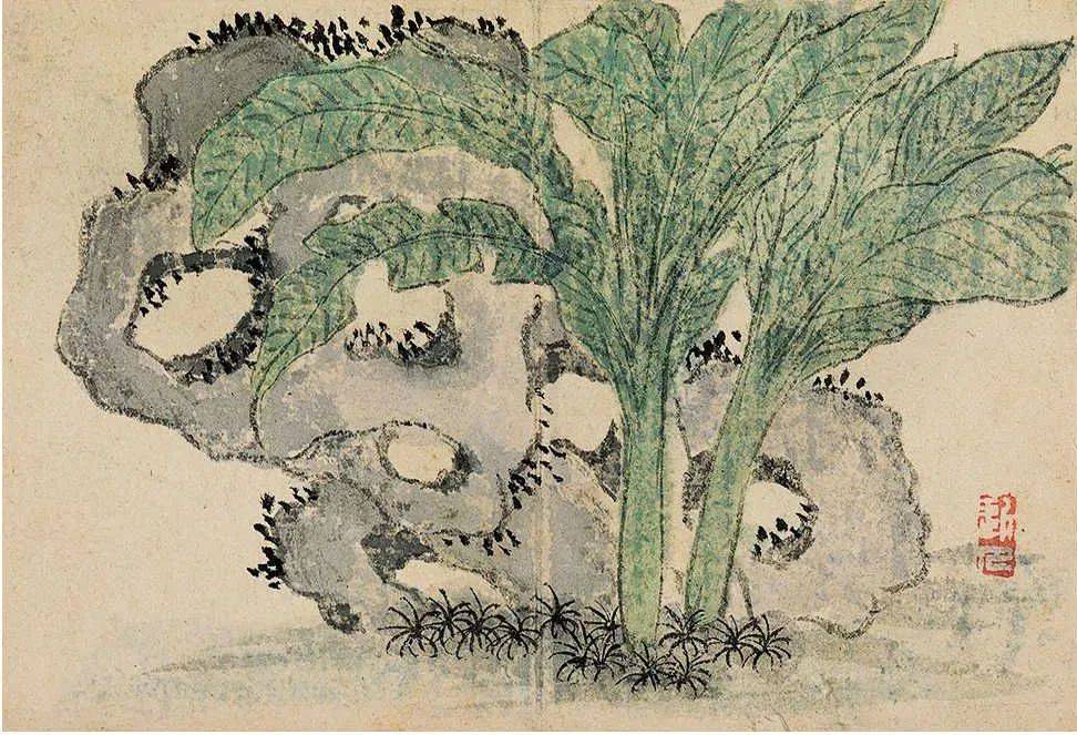 汪士慎《花卉册》 历代国画 第3张