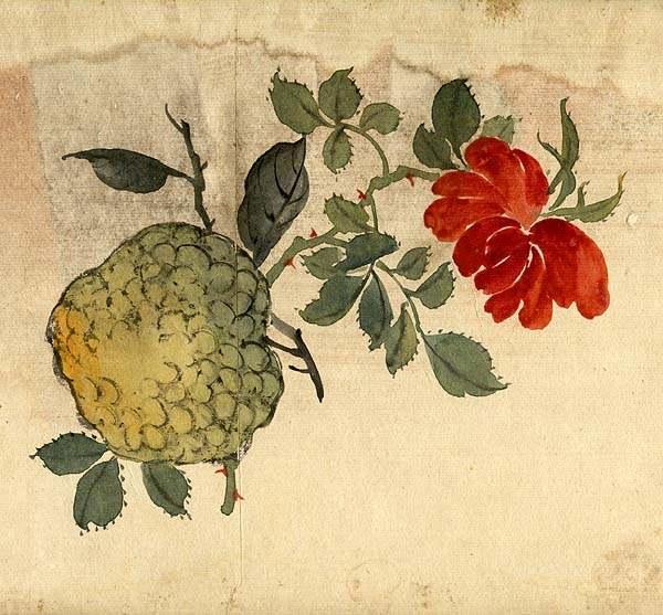 缪谷瑛《百花图》 历代国画 第17张