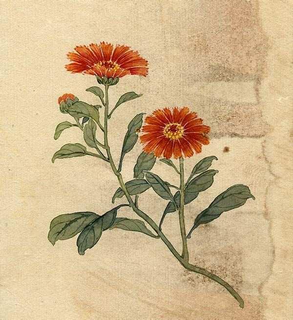 缪谷瑛《百花图》 历代国画 第20张