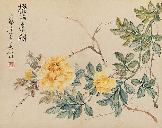 奚冈《花卉册》十二开 历代国画 第13张