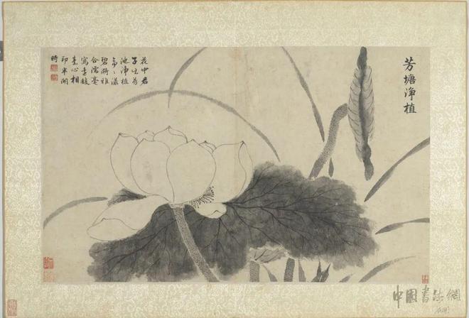 文徵明《花卉九开》 历代国画 第5张