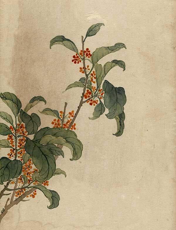 缪谷瑛《百花图》 历代国画 第29张