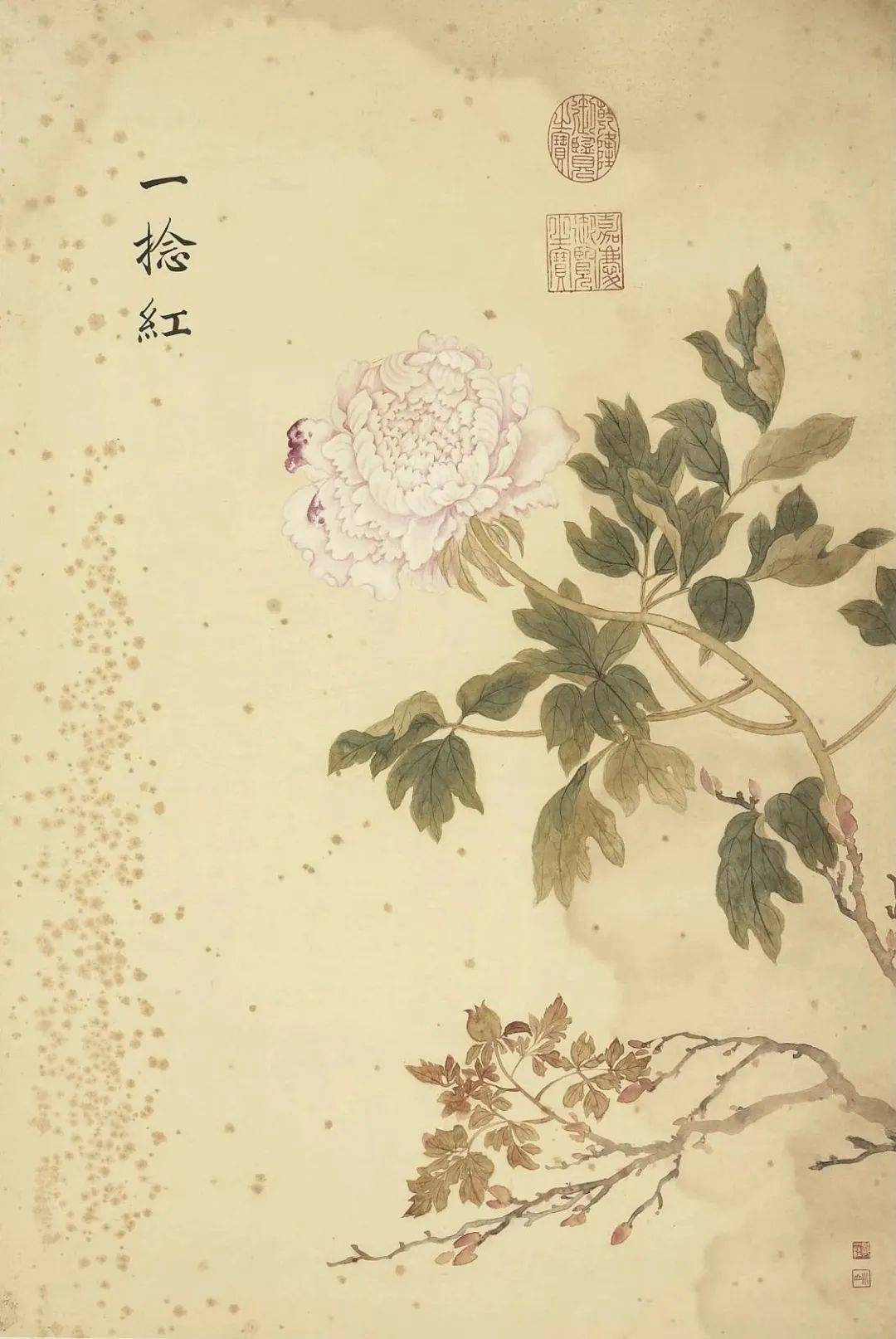 邹一桂《牡丹二十四品图》 历代国画 第48张