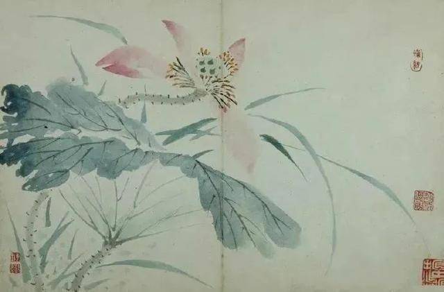 陈书《花鸟册》 历代国画 第9张