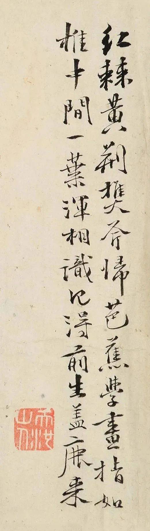 徐渭行书《墨花图卷》 历代书法 第8张