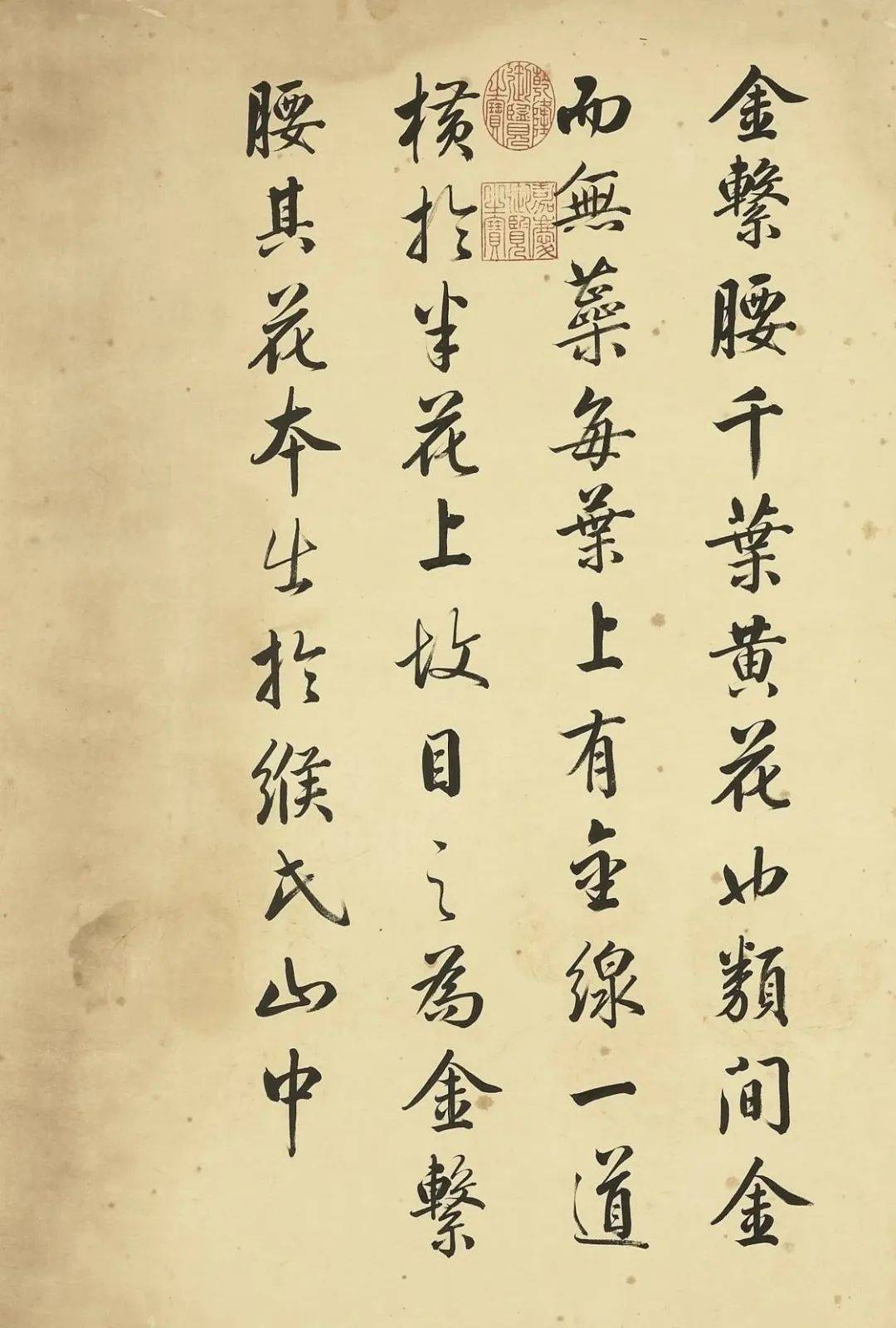 邹一桂《牡丹二十四品图》 历代国画 第17张