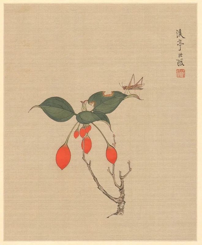 陈洪绶《花鸟草虫册》 历代国画 第6张