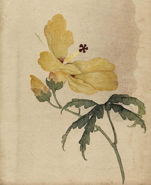 缪谷瑛《百花图》 历代国画 第32张