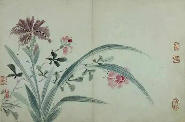 陈书《花鸟册》 历代国画 第7张