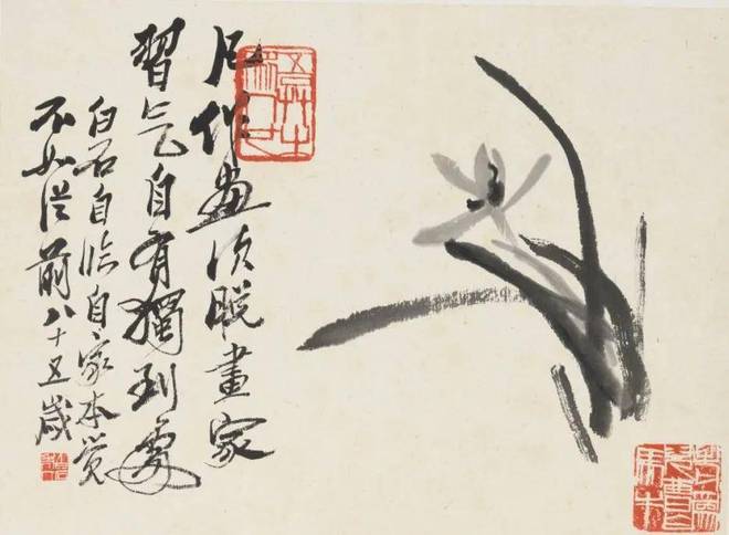 齐白石《衰泥爪花卉册》 历代国画 第5张