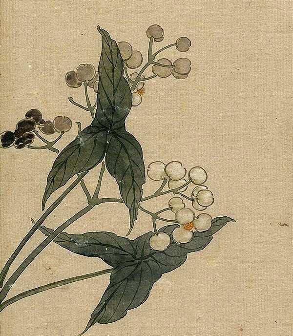 缪谷瑛《百花图》 历代国画 第23张