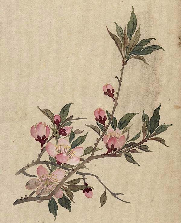 缪谷瑛《百花图》 历代国画 第38张