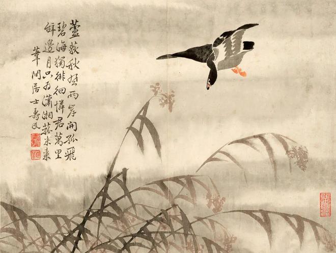 边寿民《芦雁图册》十开 历代国画 第8张