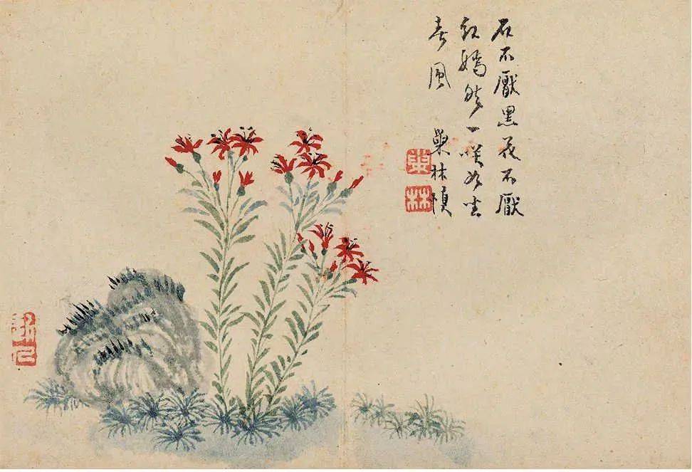 汪士慎《花卉册》 历代国画 第4张
