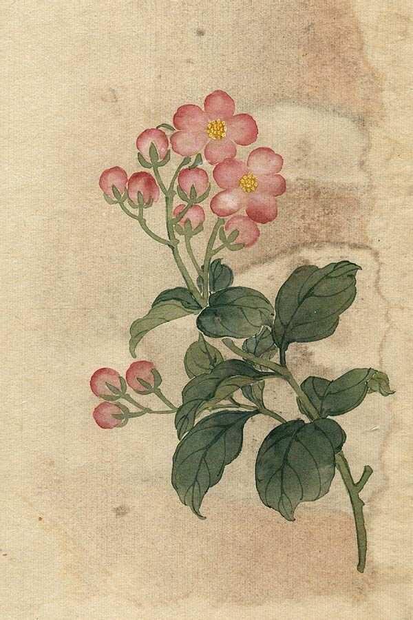 缪谷瑛《百花图》 历代国画 第15张