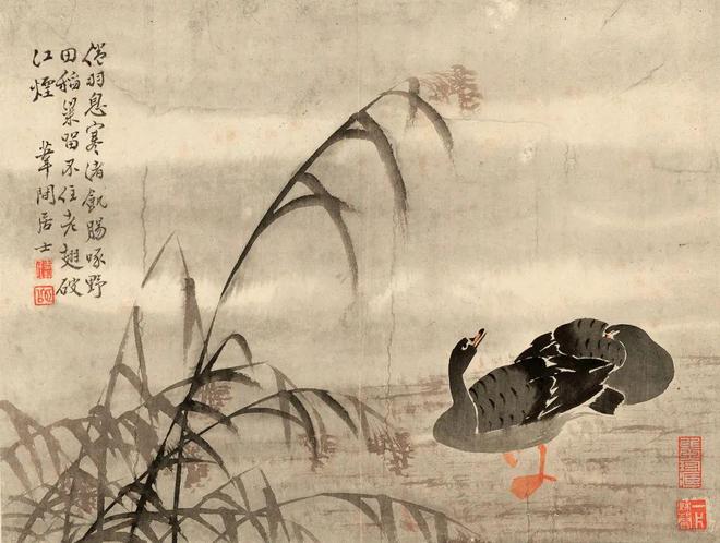 边寿民《芦雁图册》十开 历代国画 第9张