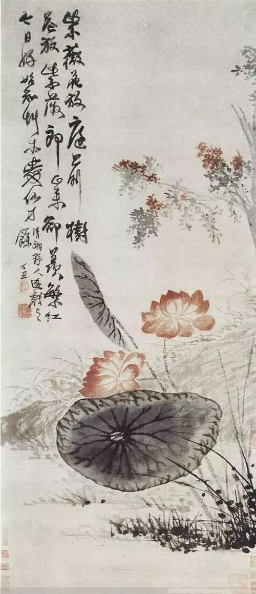 石涛荷花作品欣赏 历代国画 第1张
