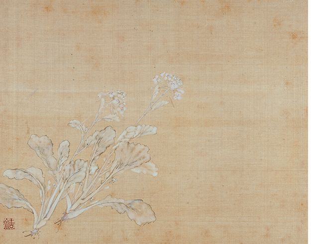 居廉《二十四番花信》 历代国画 第5张