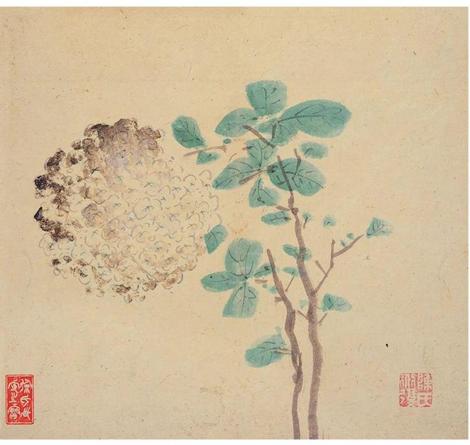 陈淳《漫兴折枝花卉册》 历代国画 第8张