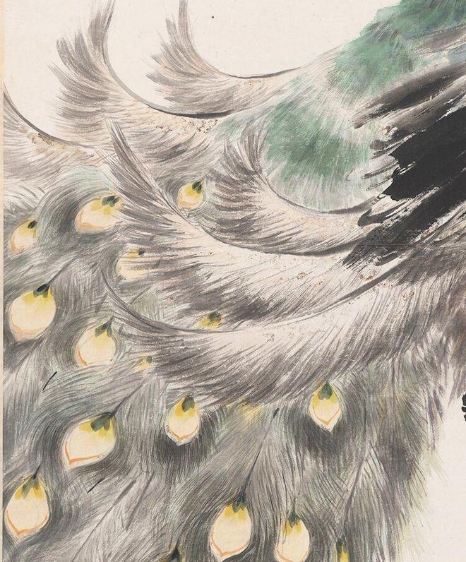 江寒汀《孔雀图轴》 历代国画 第4张
