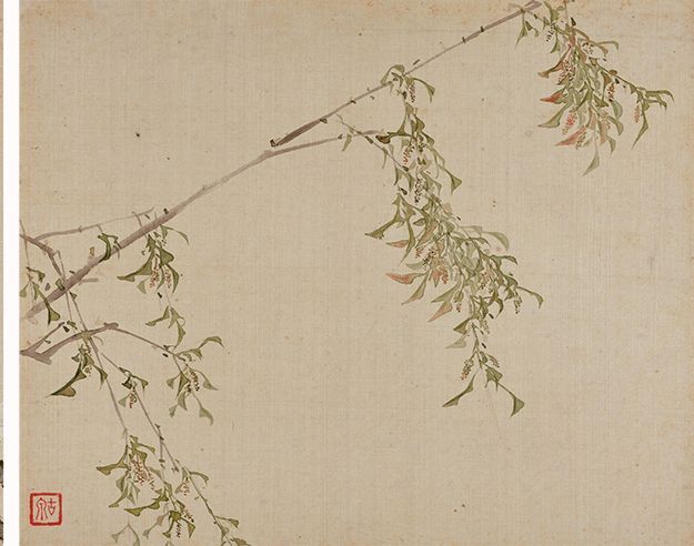 居廉《二十四番花信》 历代国画 第13张