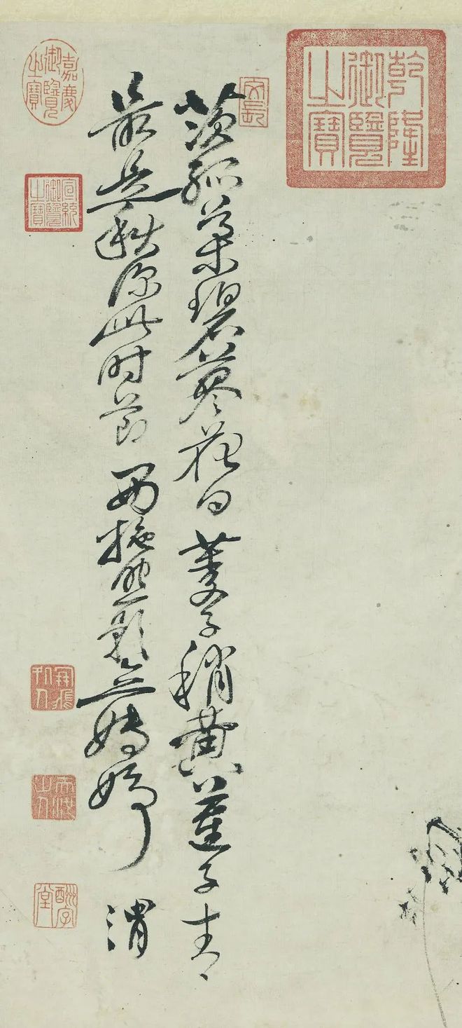 徐渭《墨荷图》 历代国画 第5张