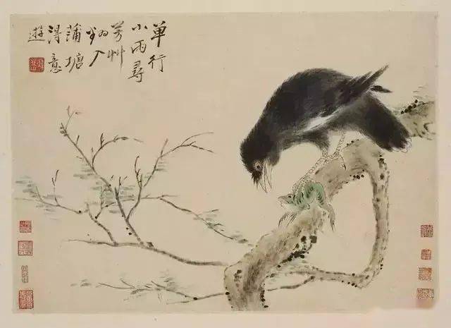 华喦《新罗山人花鸟册》 历代国画 第7张