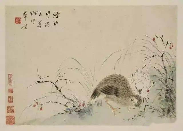 华喦《新罗山人花鸟册》 历代国画 第9张