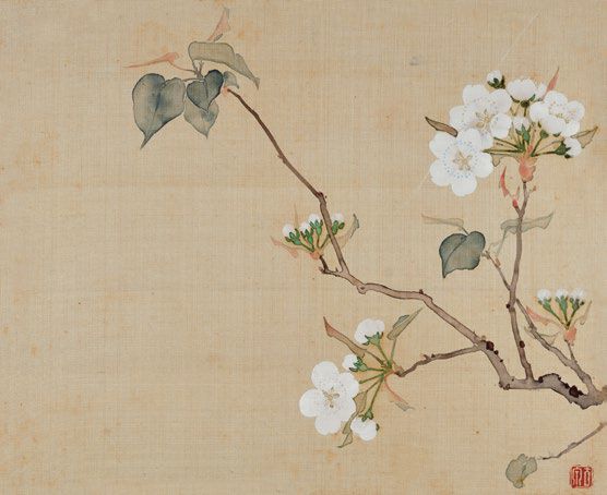 居廉《二十四番花信》 历代国画 第46张
