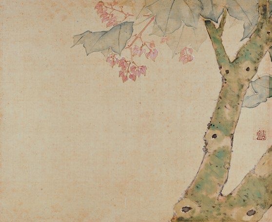 居廉《二十四番花信》 历代国画 第38张