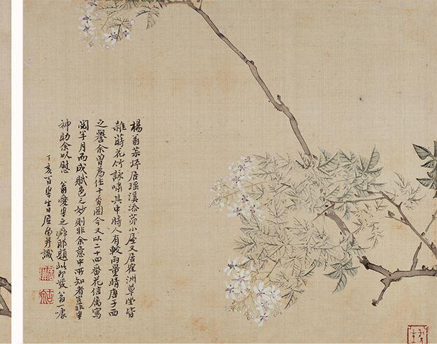 居廉《二十四番花信》 历代国画 第27张