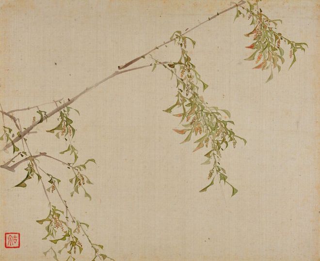 居廉《二十四番花信》 历代国画 第33张