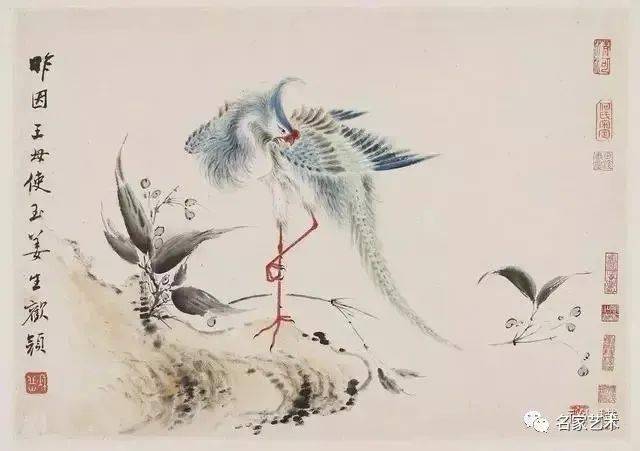 华喦《新罗山人花鸟册》 历代国画 第12张
