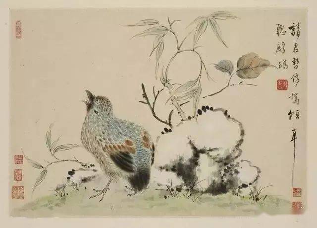 华喦《新罗山人花鸟册》 历代国画 第4张