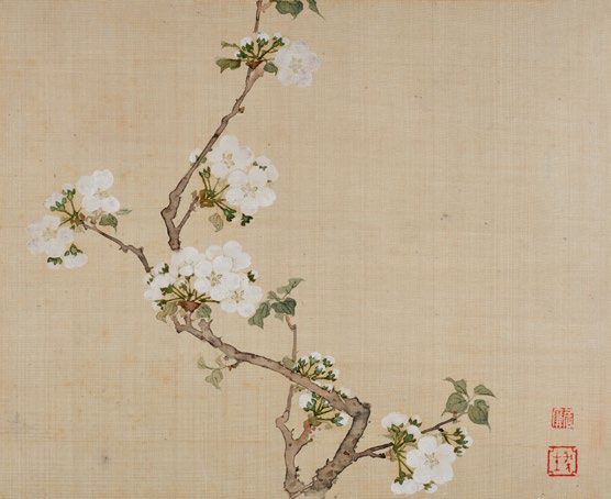 居廉《二十四番花信》 历代国画 第50张