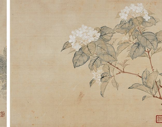 居廉《二十四番花信》 历代国画 第10张