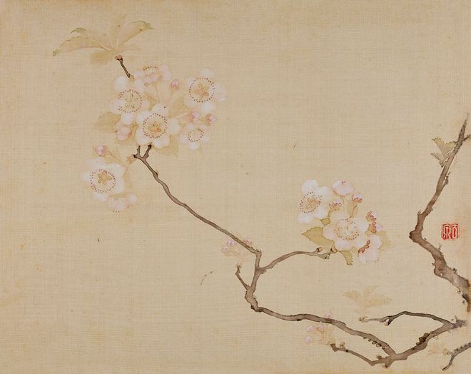居廉《二十四番花信》 历代国画 第42张