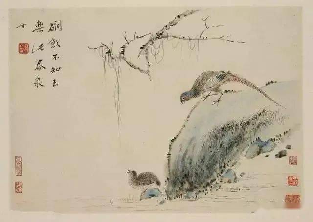 华喦《新罗山人花鸟册》 历代国画 第11张